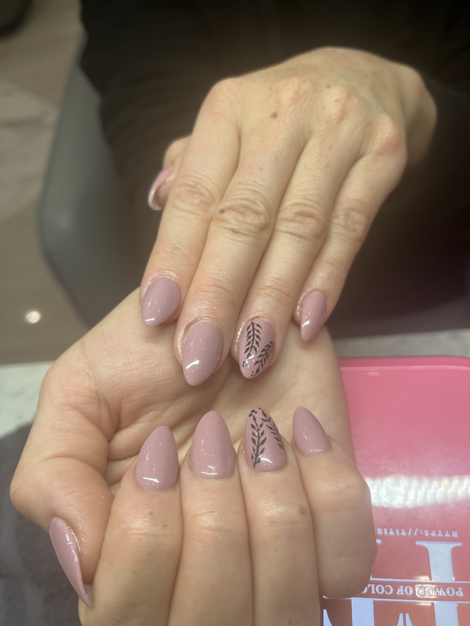 PRINCESS NAILS SPA nexton-cane bay logo