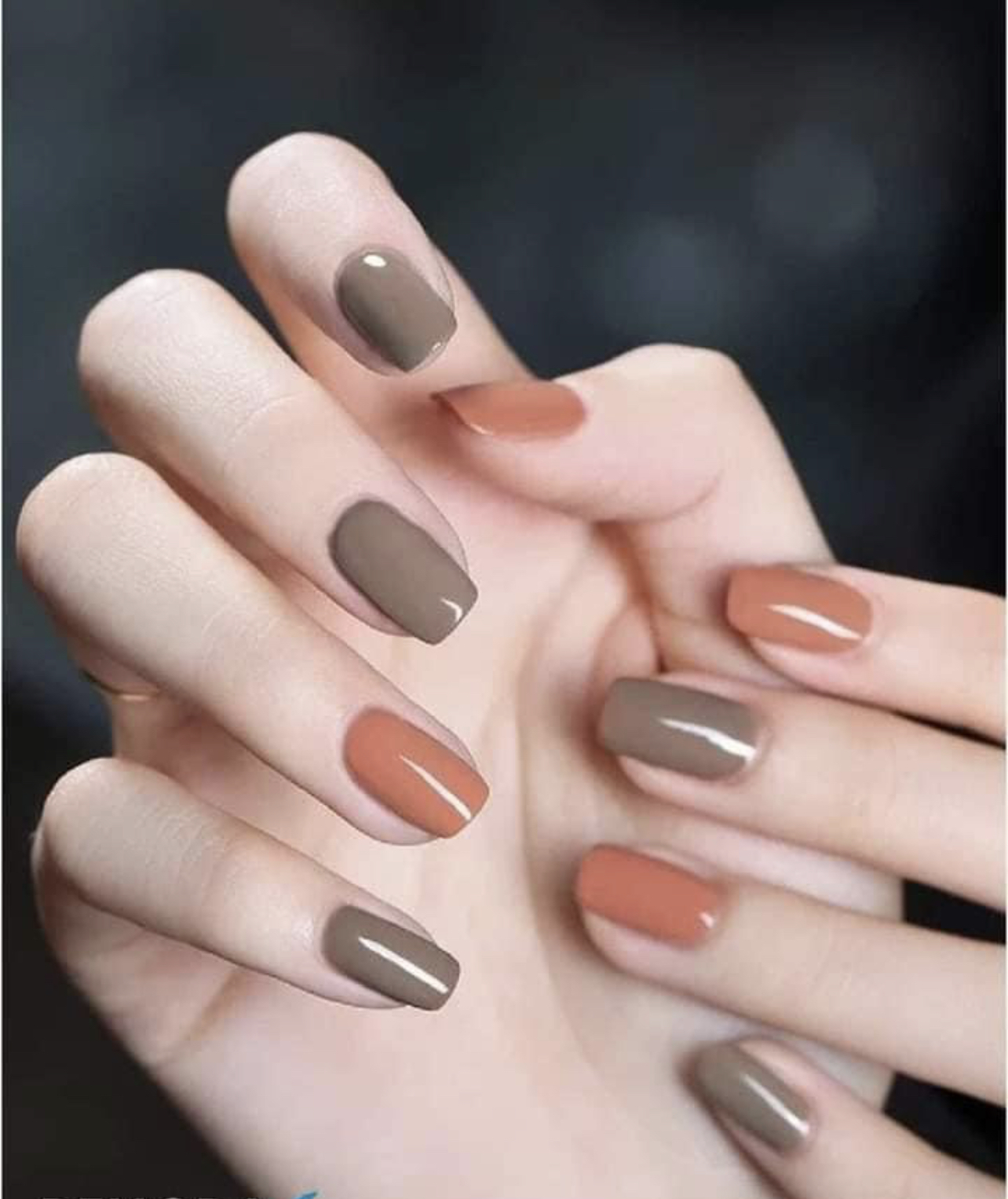 PRINCESS NAILS SPA nexton-cane bay nail photo 6